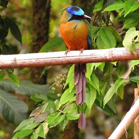 Cantos Da Mata Chapada dos Guimarães Exteriér fotografie