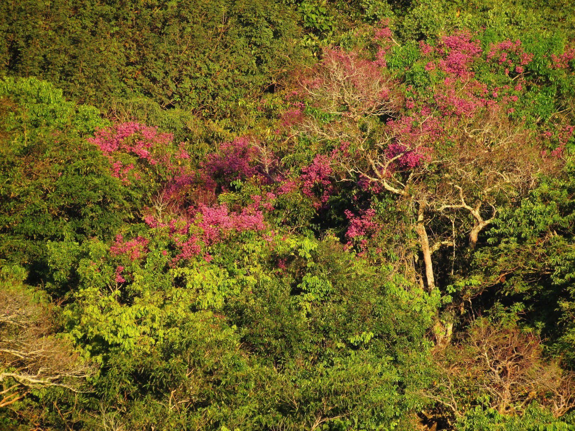 Cantos Da Mata Chapada dos Guimarães Exteriér fotografie